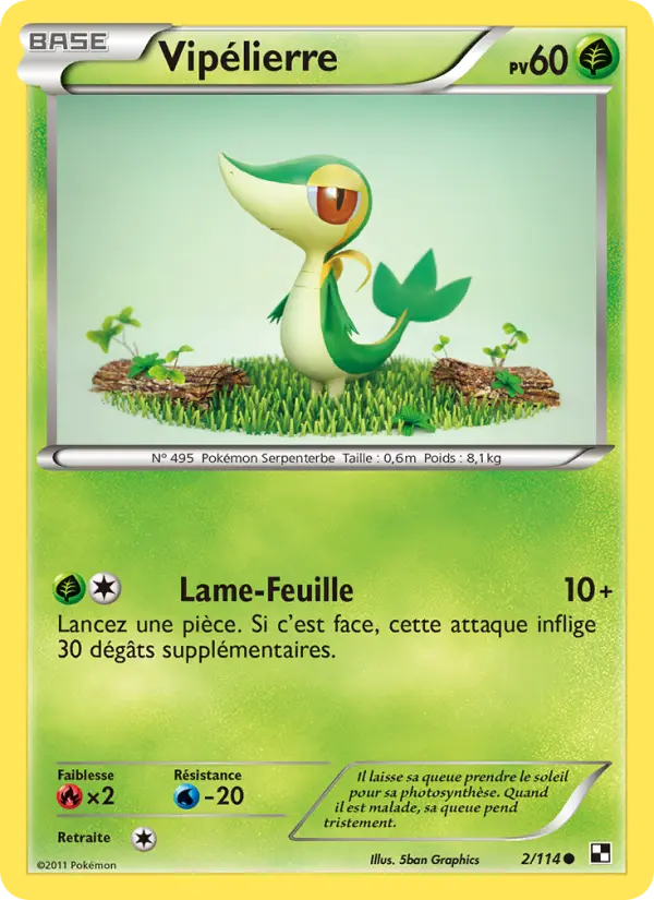 Vipélierre