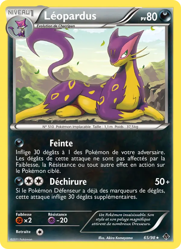 Léopardus