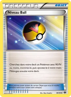 Niveau Ball
