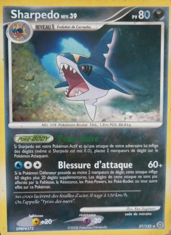 Sharpedo