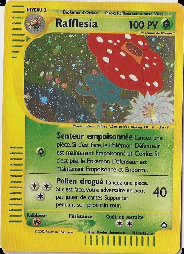 Rafflesia
