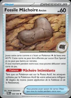 Fossile Mâchoire Ancien