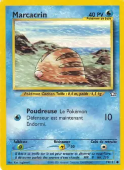 Marcacrin