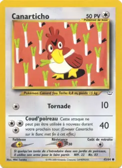 Canarticho