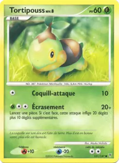 Tortipouss