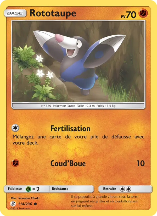 Rototaupe