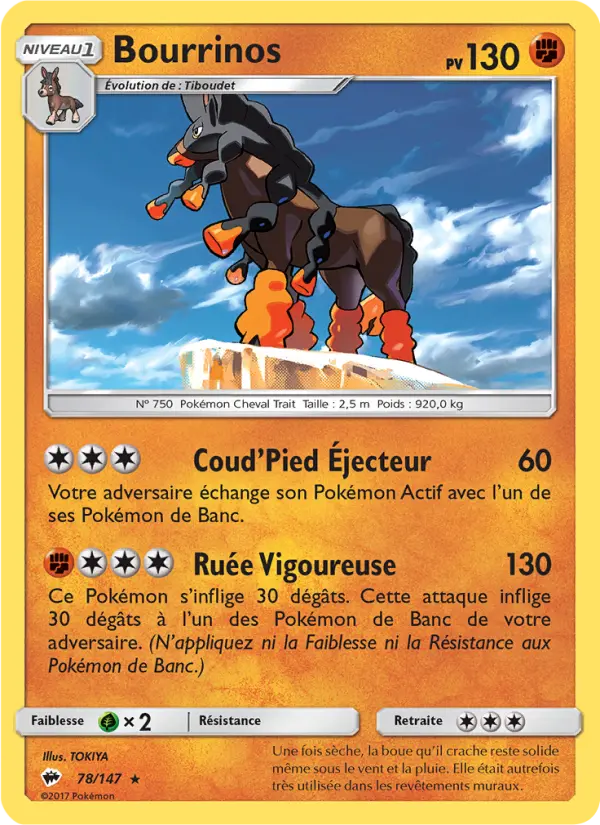Bourrinos