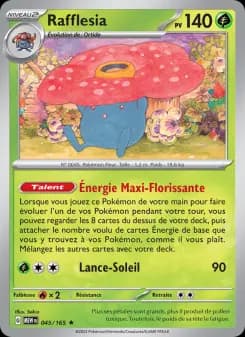 Rafflesia