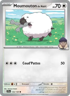 Moumouton de Nabil