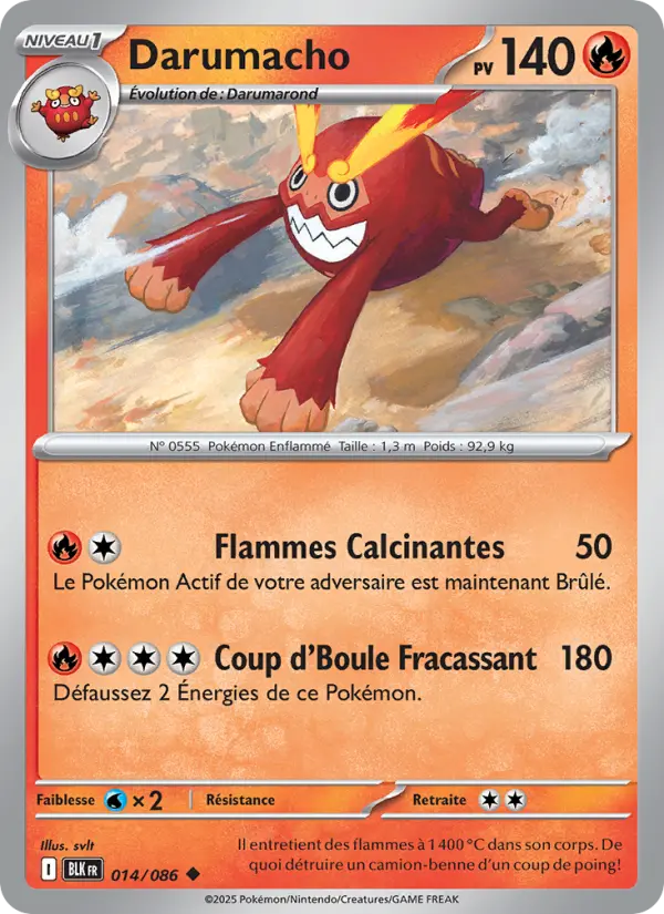 Darumacho