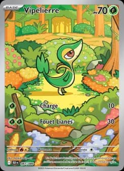 Vipélierre
