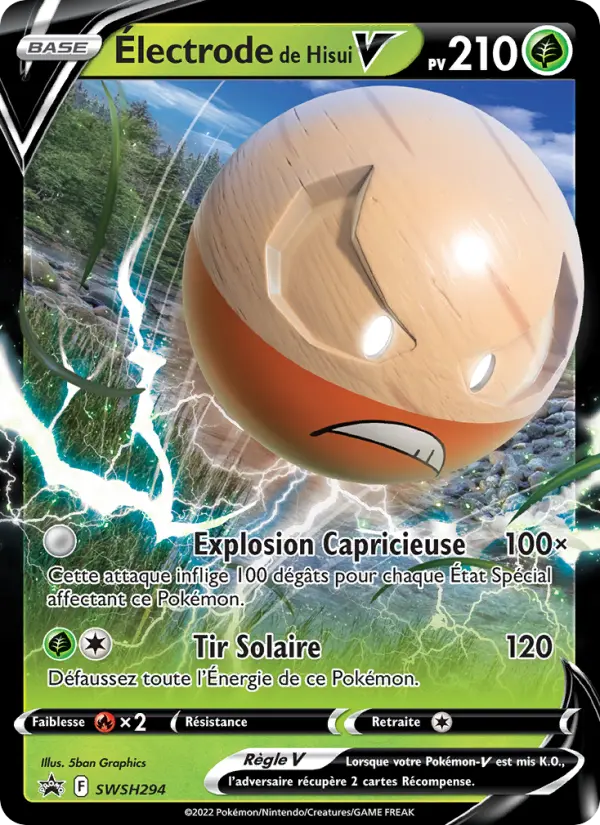 Électrode de Hisui V