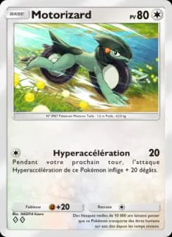 Motorizard