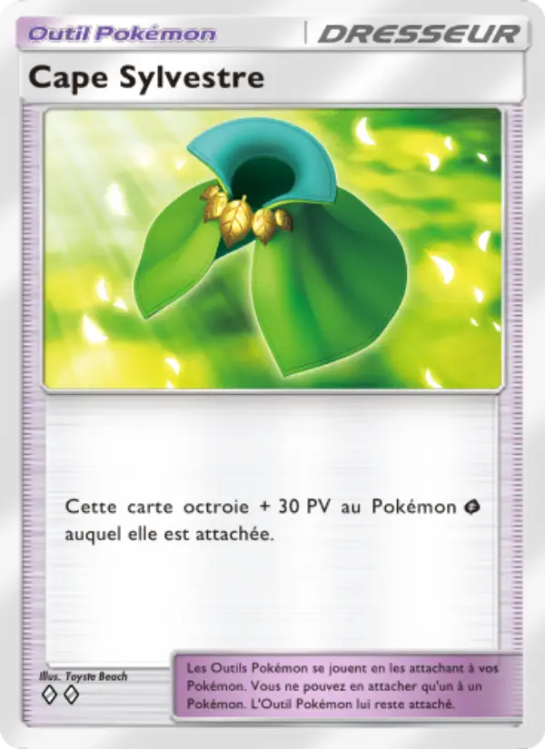 Cape Sylvestre