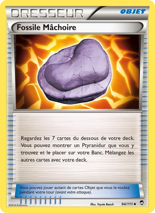 Fossile Mâchoire